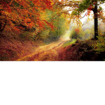 Kevin_scott200568