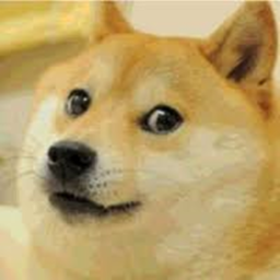 Doge training