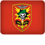 RP GROUP FOR LA DRANG || FIRETEAM BRAVO ||
