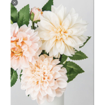 Dalia!