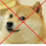 D0GE HATERS