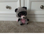 Beanie boo fun