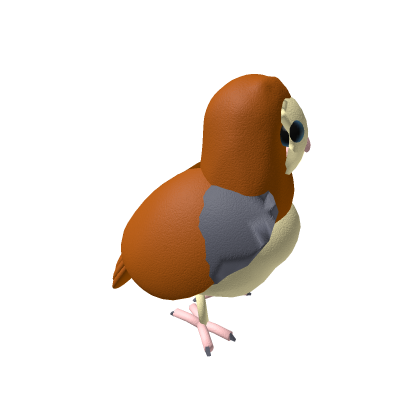 barn owl