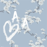 Aesthetic Apparel Designs
