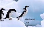Penguin Loverzz!