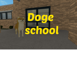 Doge School