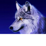 !Spirit Wolves!