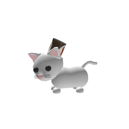 cute cat with a bean can ### its head