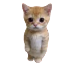 مسوينه من الطفش