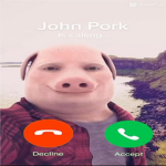 Drill Pig