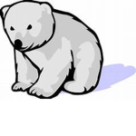 Polar Bears only