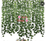 ~ Ivy's Vines ~