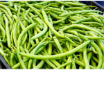 Greenbean creations