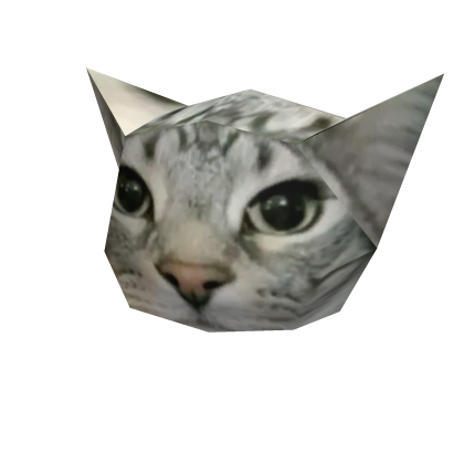 Lowpoly Cat Hat