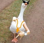 Crazy rich British ducks