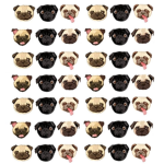 The Magical Pugs