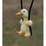 DEPRESSED DUCKS UNITED