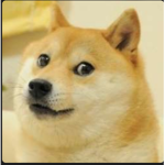Jaykxa