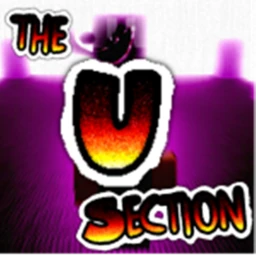 U_SECTION: Rerun icon