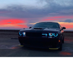 A_L's