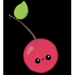· Ｃｈｅｒｒｙ Ｓｑｕａｄ ·