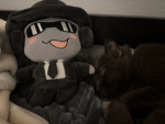 Cat will pwan all