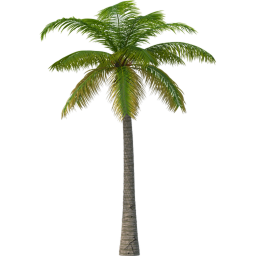 dummy islandz