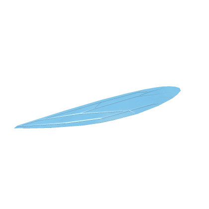 insect wings