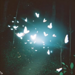 BDS(Butterfly Dancing Studio)