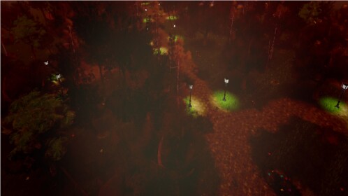 The Forest