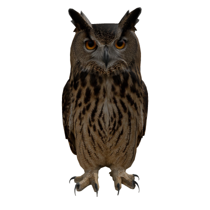 Engineer’s Owl Roblox item