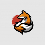 Team zorros