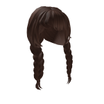 Brown Braided Hair