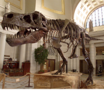 .!Dino Army!.