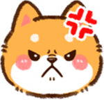 奇奇的群组
