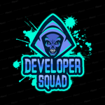 Developer Playz