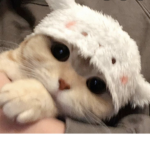 angelbits