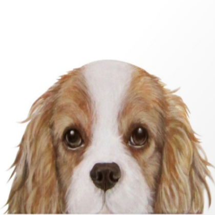 [animal] dog Roblox decal