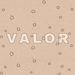 ʚ VALOR ɞ