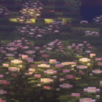 Valetx