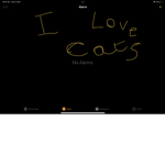Cat friends for eva