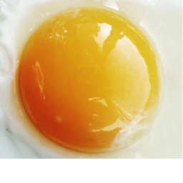 Eggy Obby!