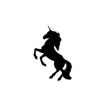 #BlackUnicorn