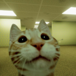cat mat fat