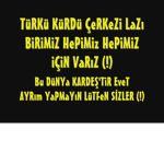 türk gu ru p
