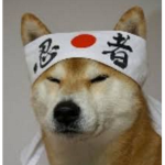 Dream of a Meme