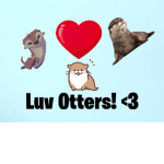 #Team Otter