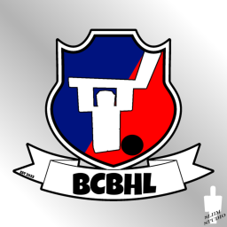 Bryans Coded Ball Hockey!