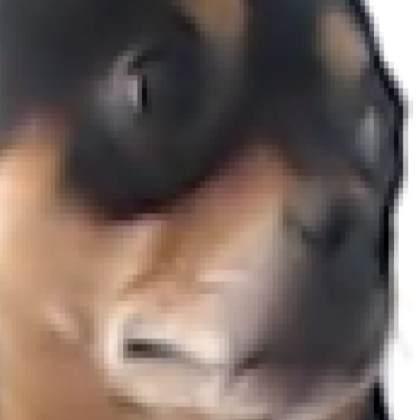 dog Roblox decal