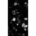 .~Rxses~.